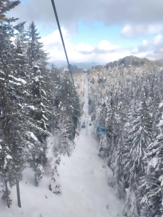 Илен 433 Bansko Royal Towers公寓 外观 照片