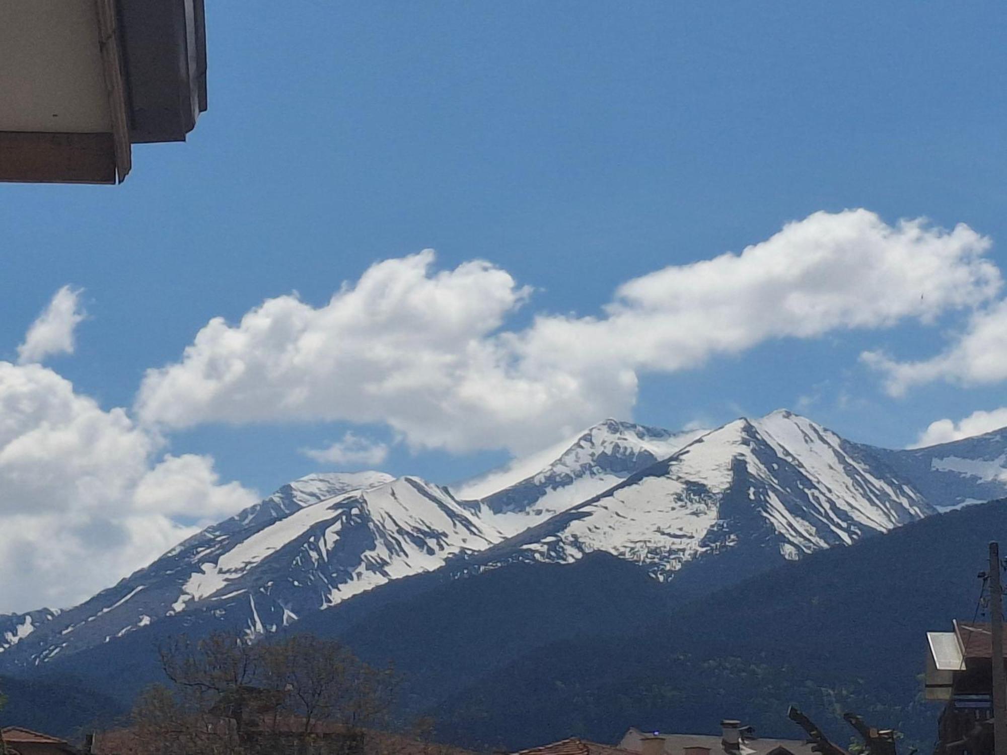 Илен 433 Bansko Royal Towers公寓 外观 照片